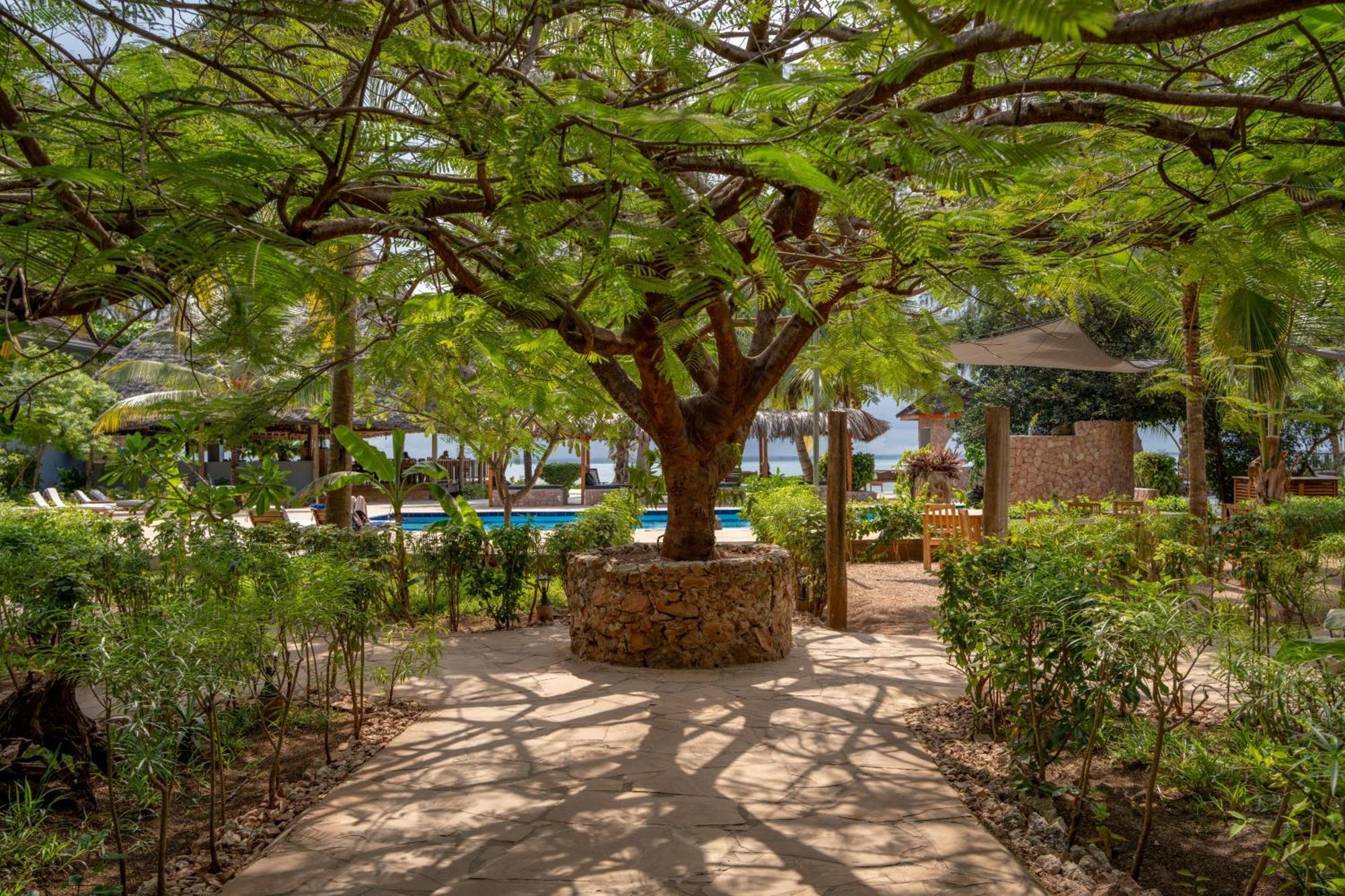 Michamvi Sunset Bay Hotel Exterior photo